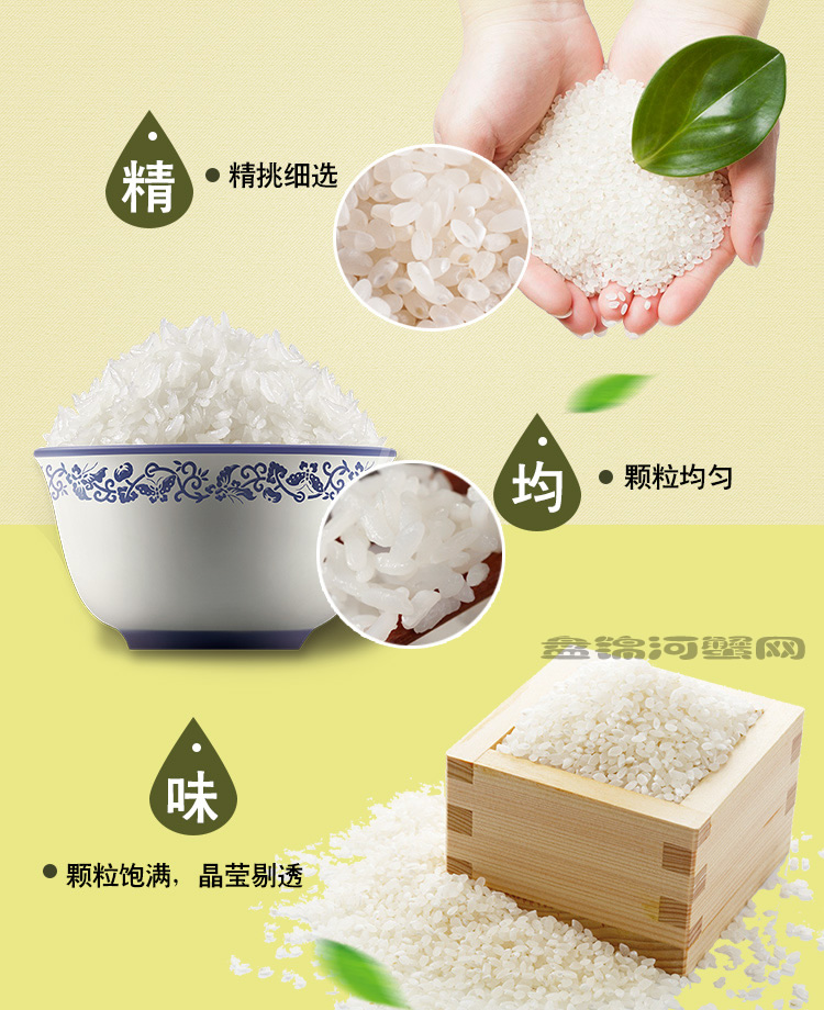 蟹田大米(圖3)
